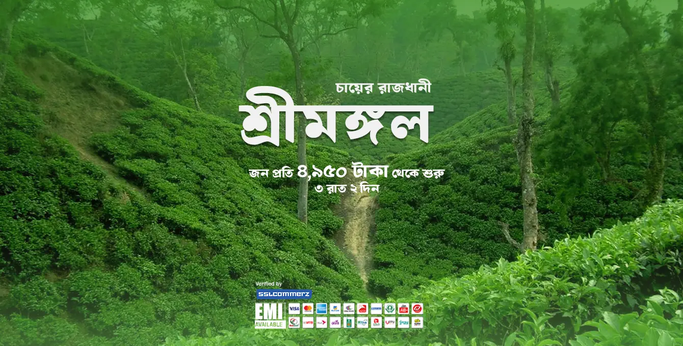 Shemongol Website cover